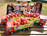 frisch-saftig-steirisch Äpfel für steirische Kindergärten!