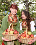 Apfelblütenfest, Puch bei Weiz, 24.4.2016